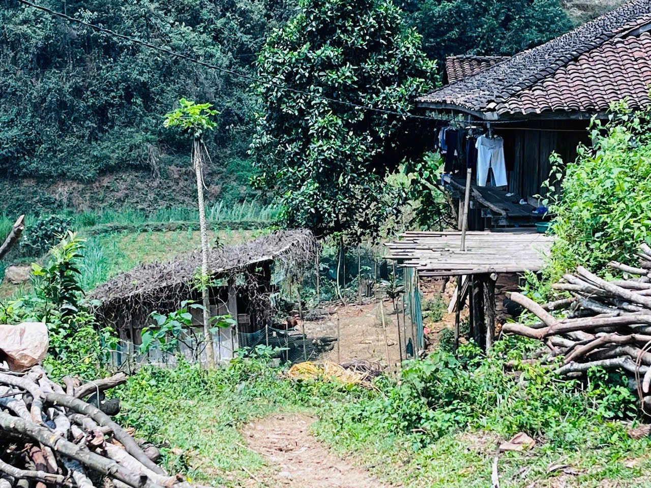 Sapa Biking Trip Muong Hoa Valley 1 Day